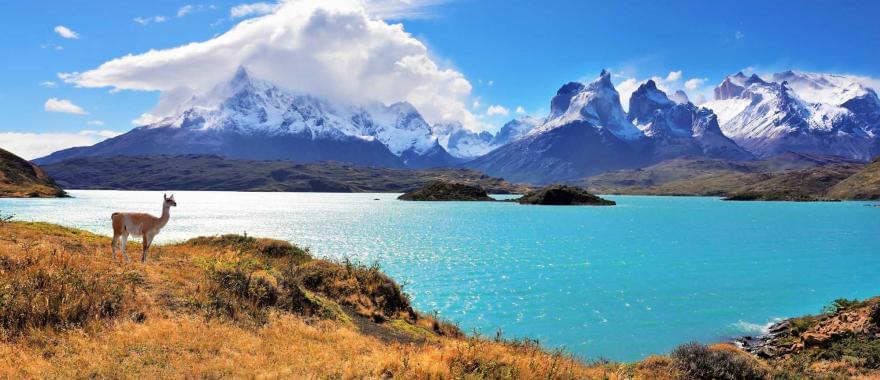 Excellent Winery Tour In Chile
