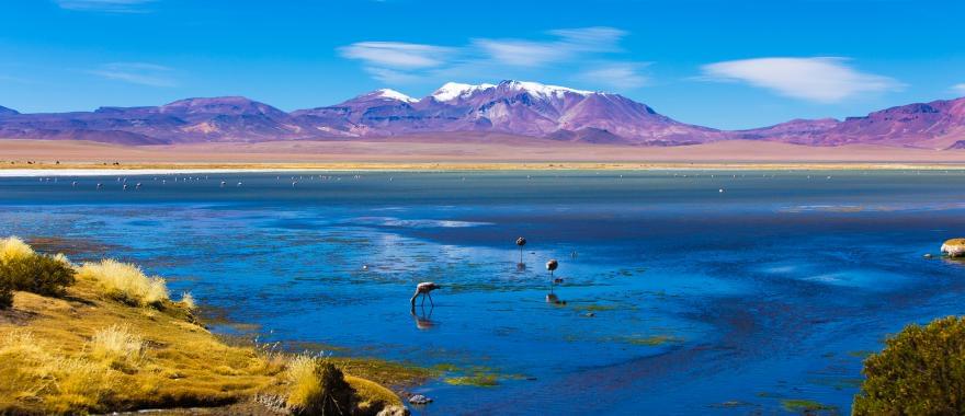 Excellent Vacation In Chile