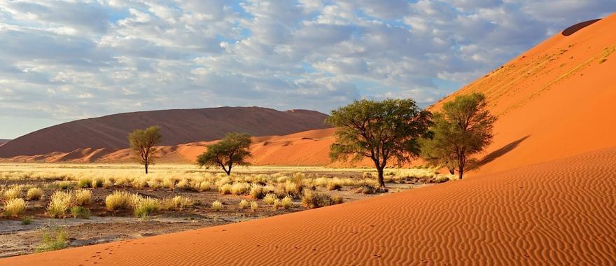 Great Namibian Trip for Families