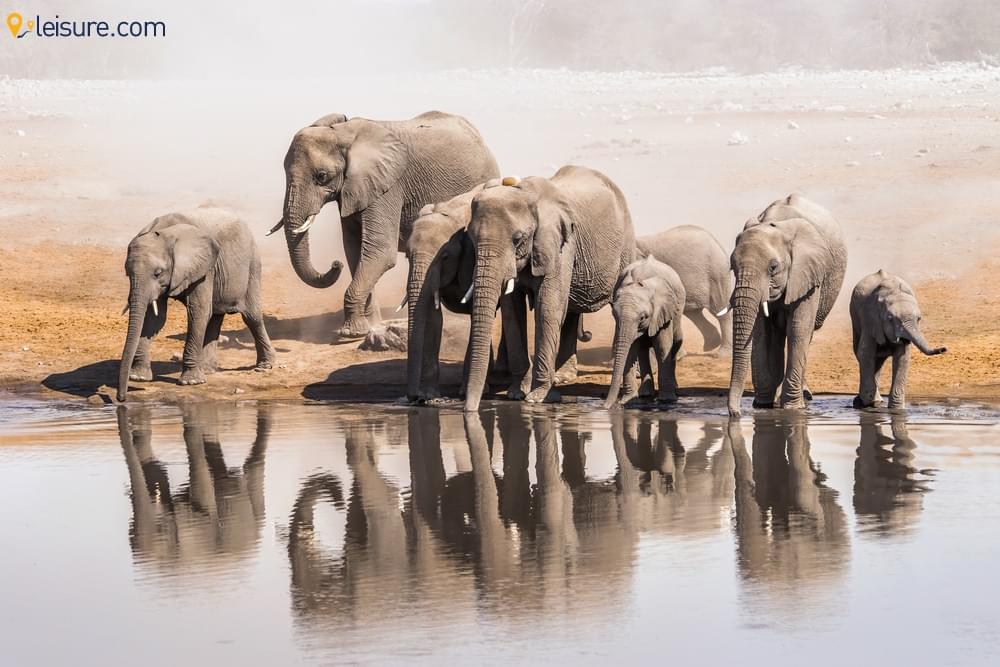 8-day Desert and Etosha Namibia Safari Holiday Package