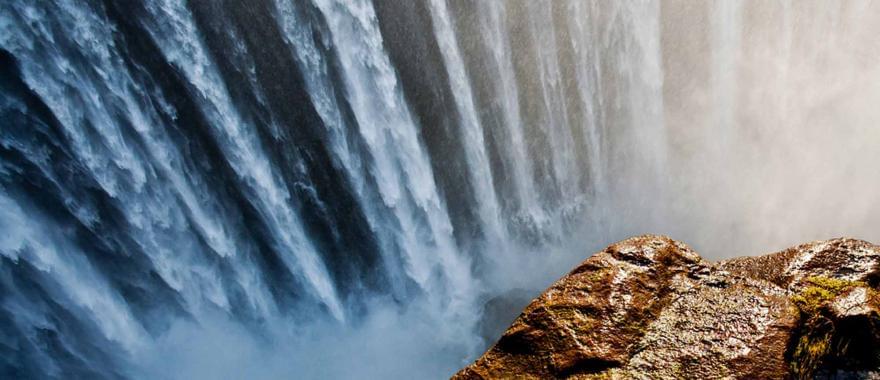 Unforgettable Safari Moments in Zimbabwe