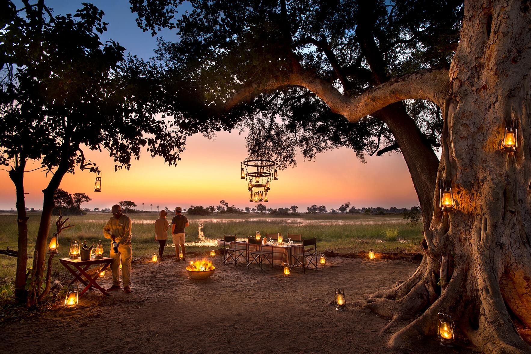 Travel Review: Best Botswana Tour