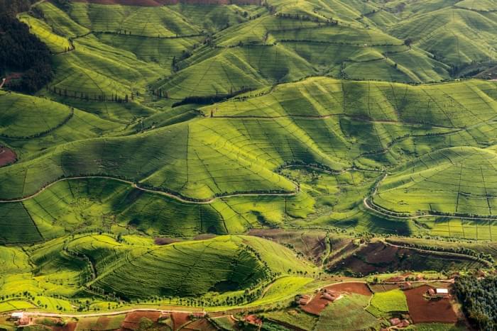 Travel Review: A Perfect Trip To Rwanda
