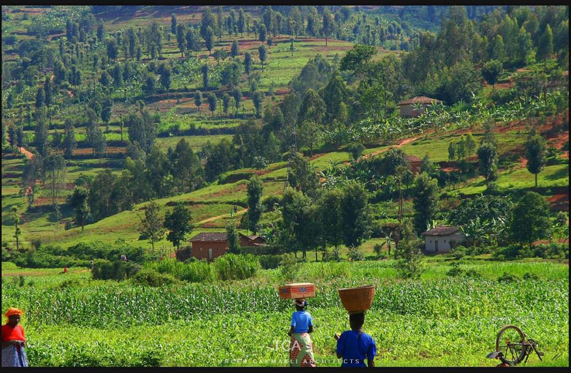 Travel Review: Best-priced Rwanda Tours