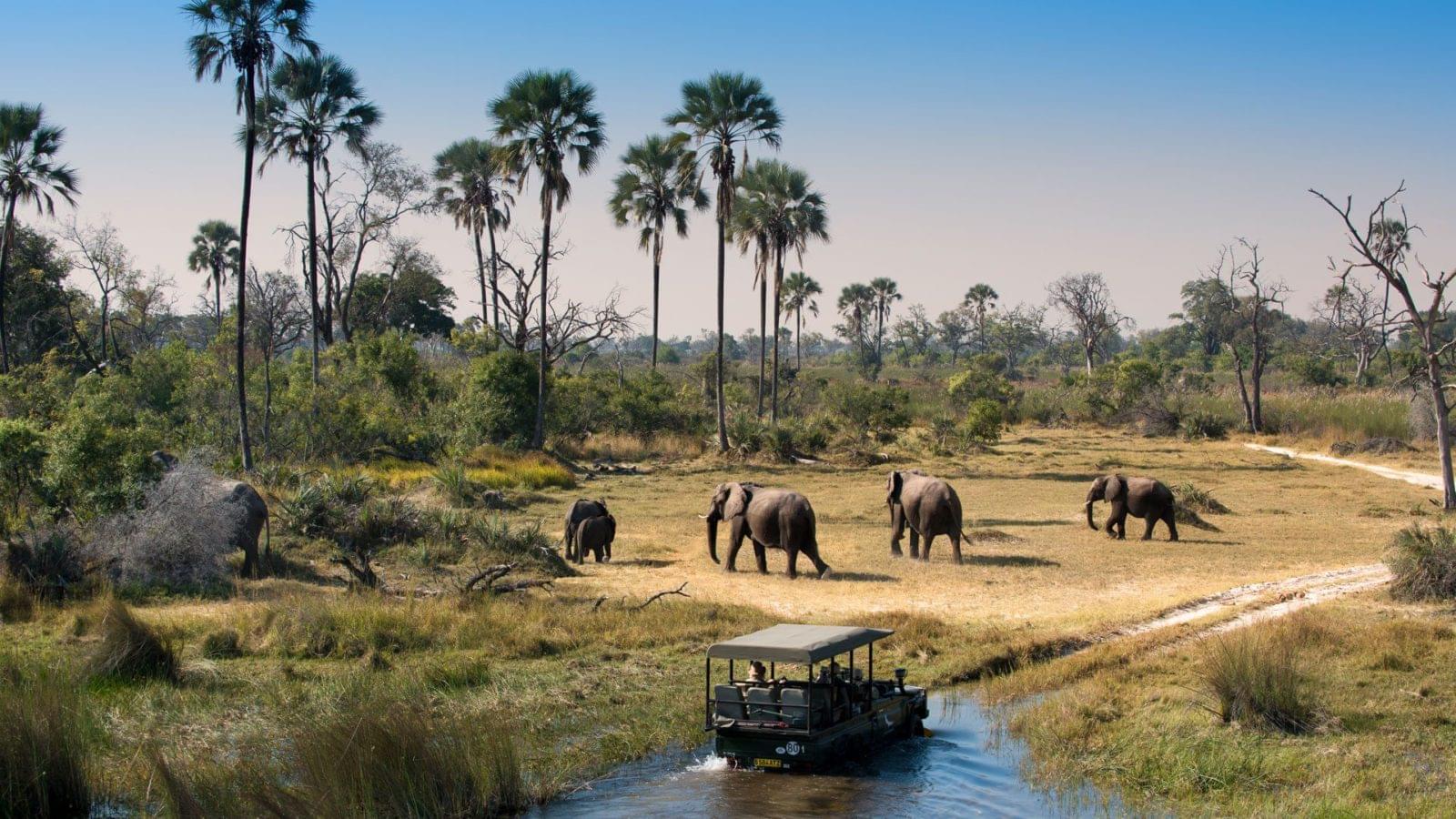 Travel Review: Best Botswana Tour With Family Ever