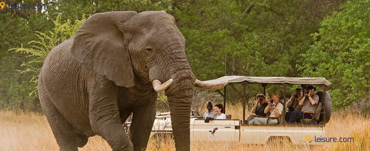 This is my dream Safari In South Africa