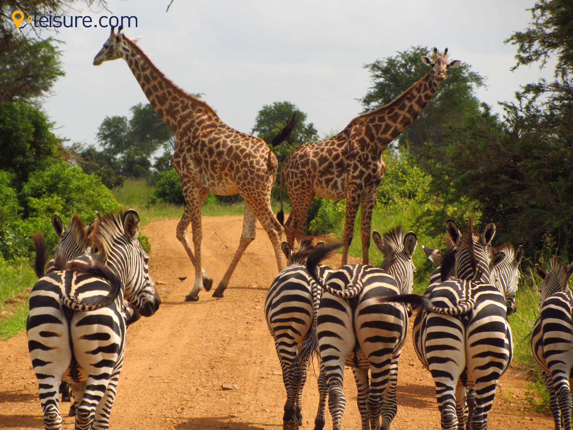 My trip to Tanzania still gives me goosebumps