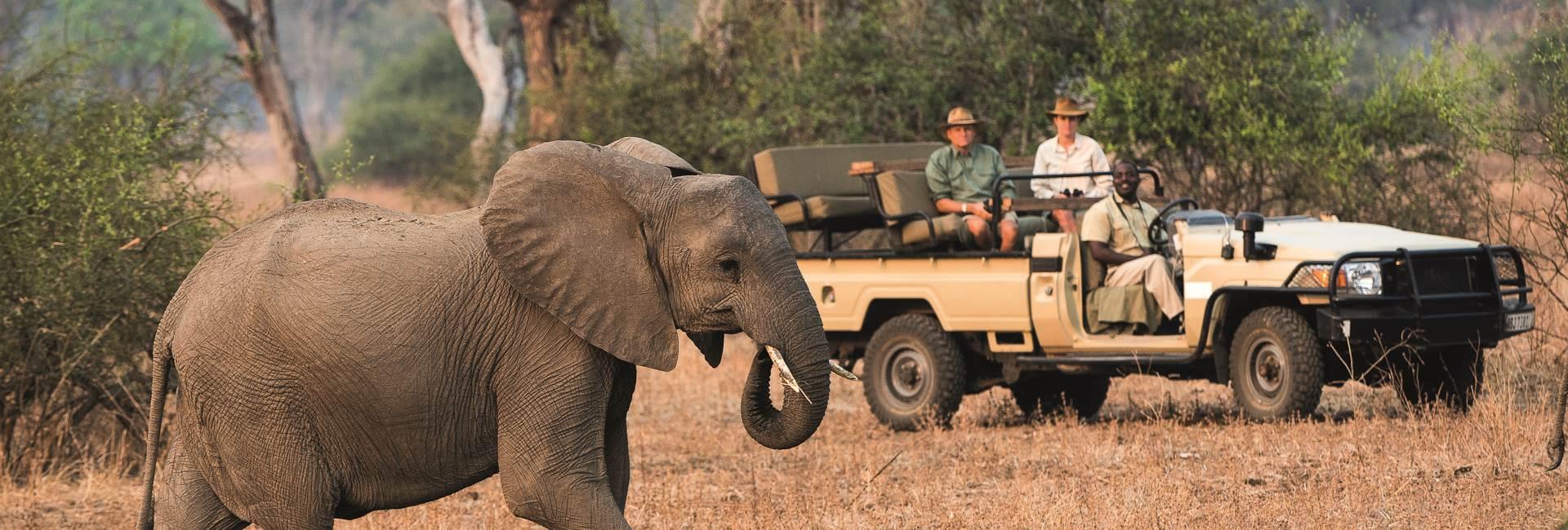 Real Travelers’ Reviews You Can Trust