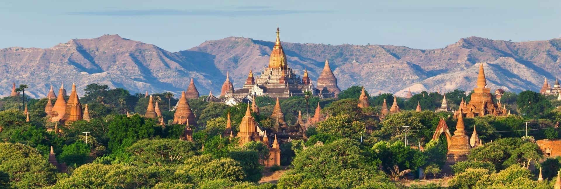 Real Travelers’ Reviews You Can Trust