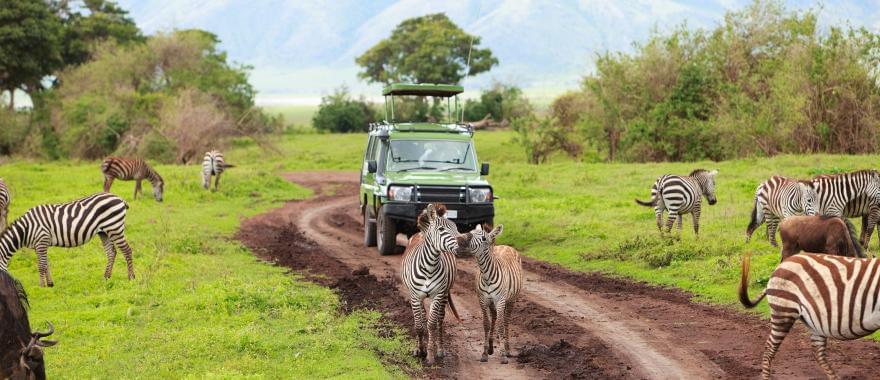 Travel Review: Super-awesome Safari Tour in Tanzania