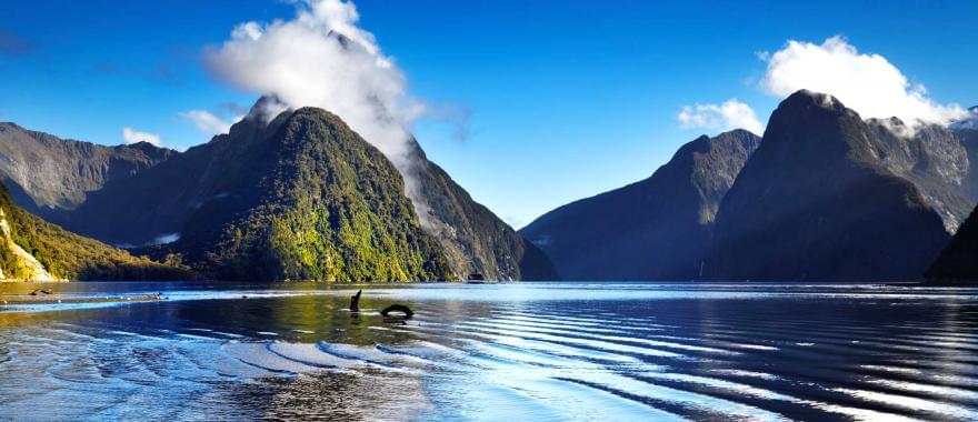 Amazing Experience In New Zealand with This Tour Guide