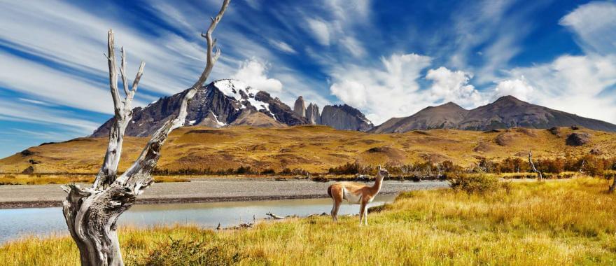 Santiago & Robertson Crusoe Island - An Amazing Chile Tour
