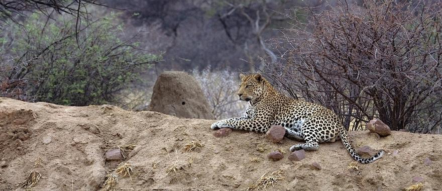 A Stunning Experience Of Namibia Safari With This Tour Guide