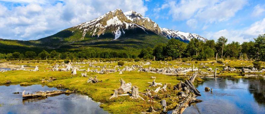 Santiago & W Trek Torres del Paine: Explore The Best Of Patagonia With This Latin America Journey