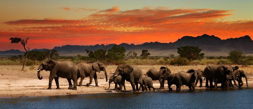 Wonderful Namibia Tour