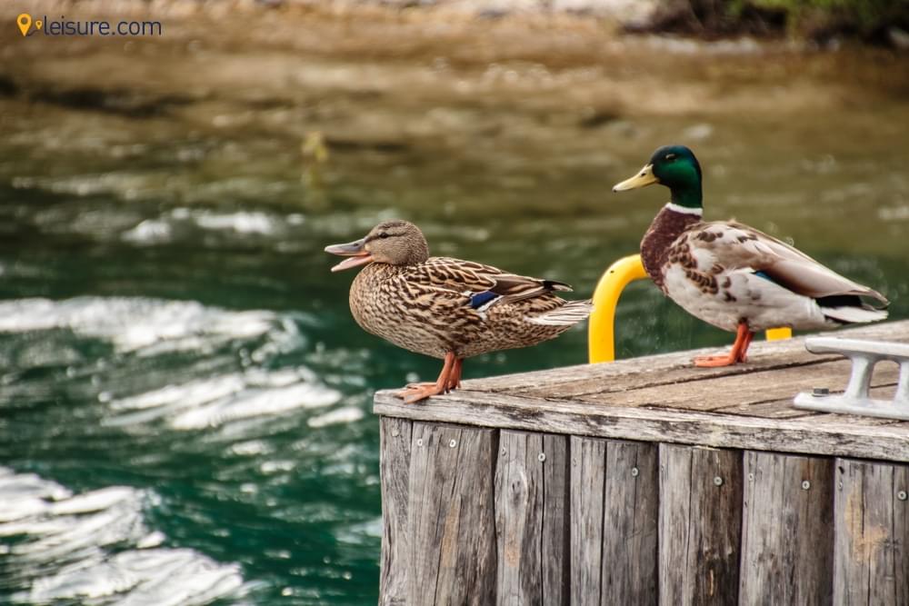  Ushuaia and Argentina