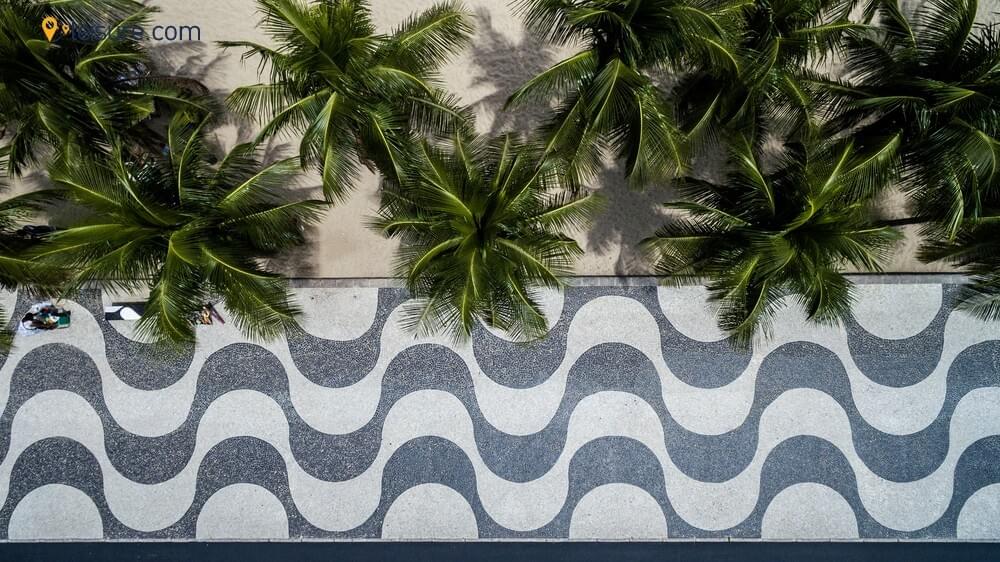  Janeiro & Amazon Rainforest v