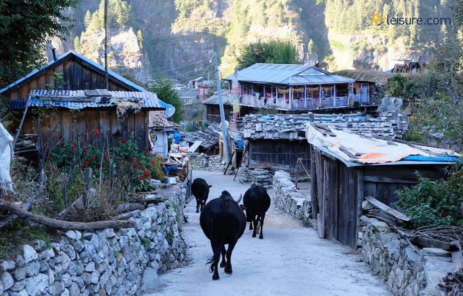 Loving Travelers ssdd