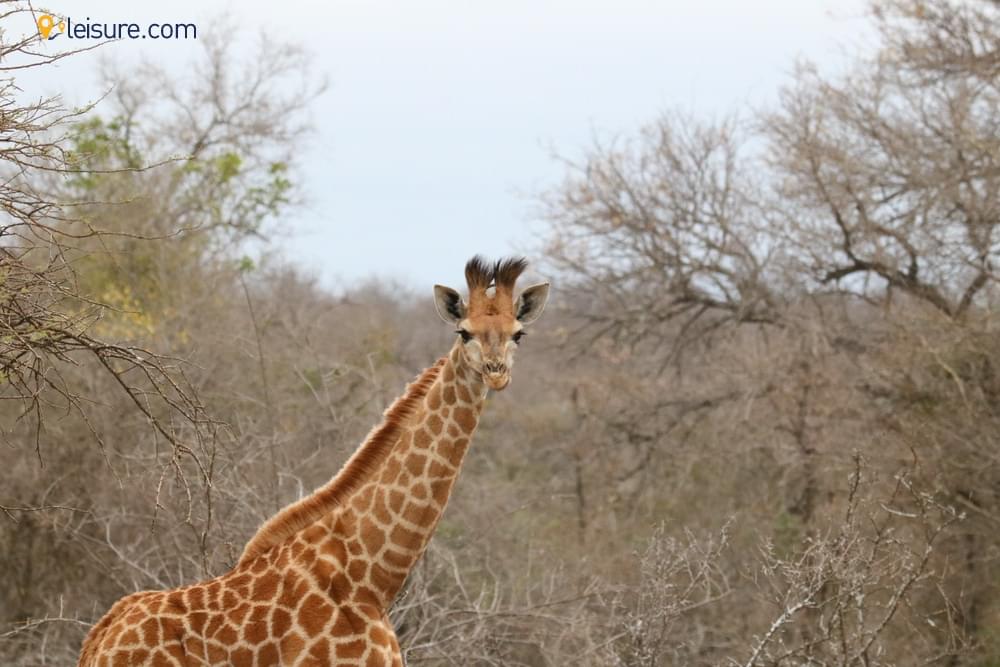 Perfect Family Vacation ddd