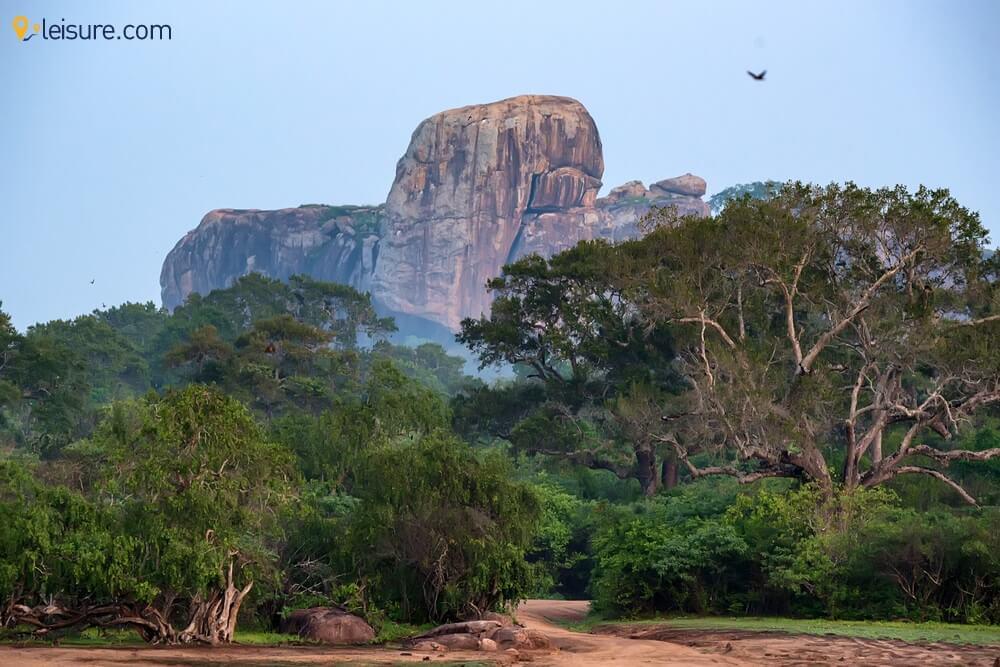 Weeklong Sri Lanka Tour df