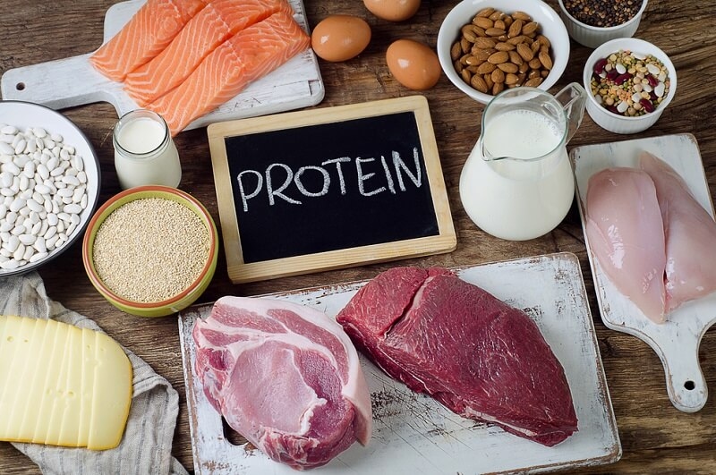 Best Foods High in Protein