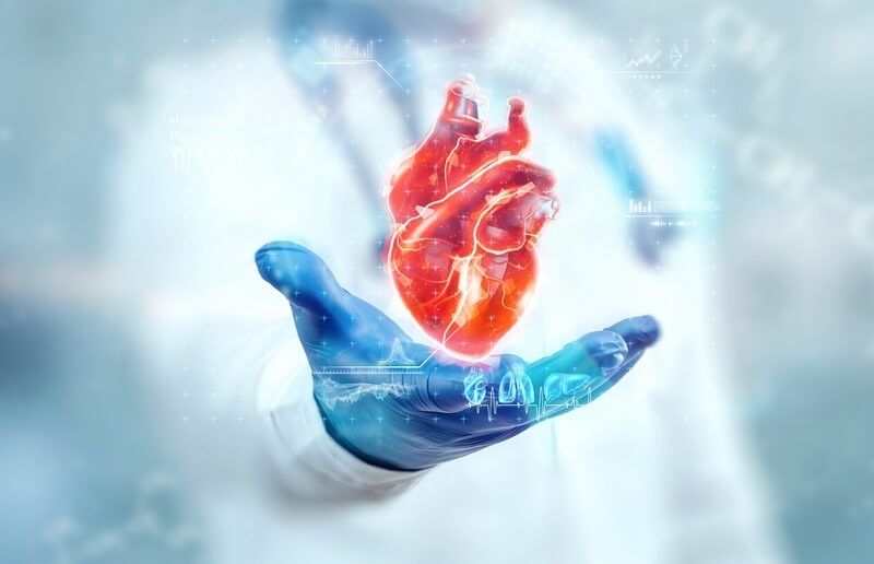 Doctor hand holding heart