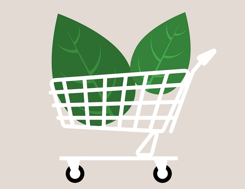 Save Money & Make Green Choices with Eco-Friendly Discounts