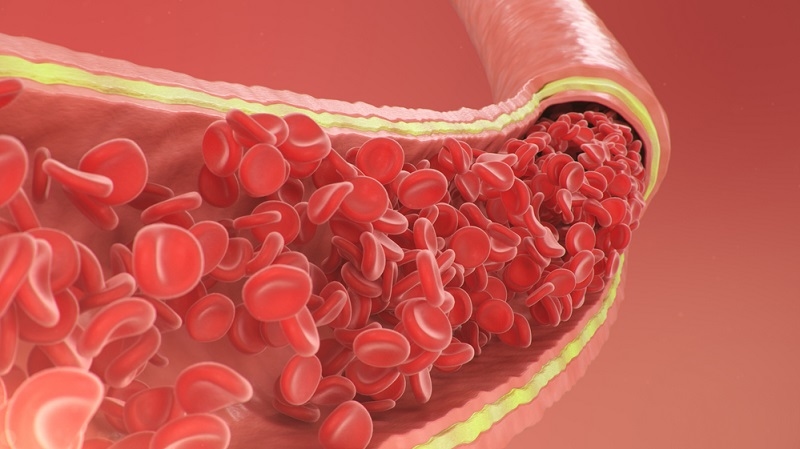 cured importance of blood flow