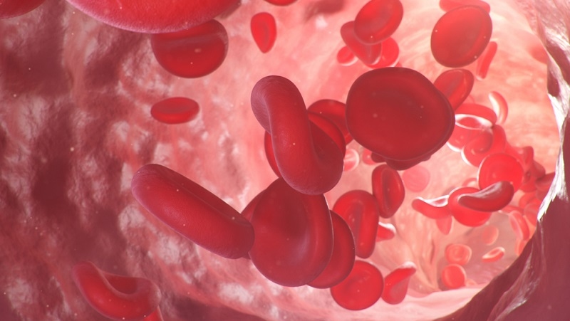 cured Improve Your Body Blood Flow