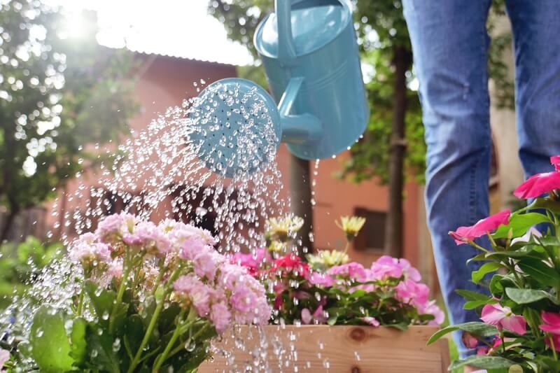 gardener watering in garden flowers