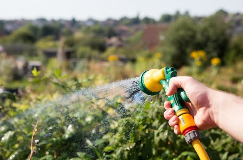 Why Goodyear Garden Hoses Are a Gardener's Best Friend