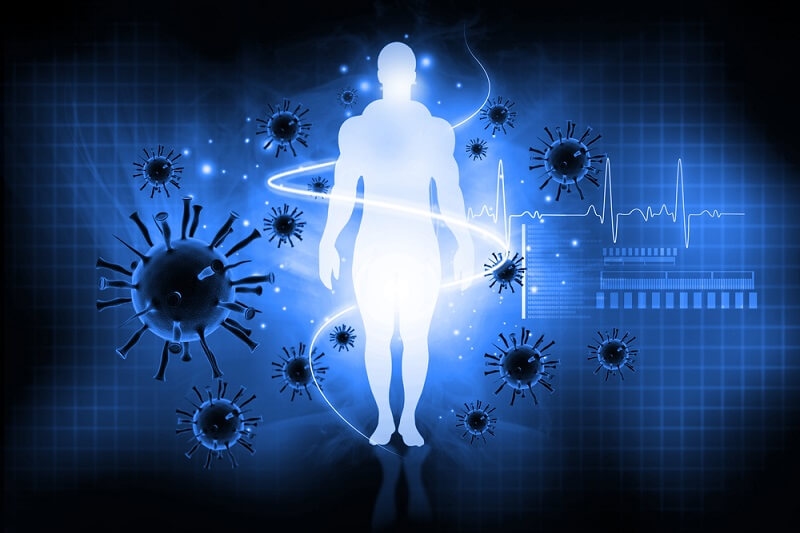  human body. Immune defence concept