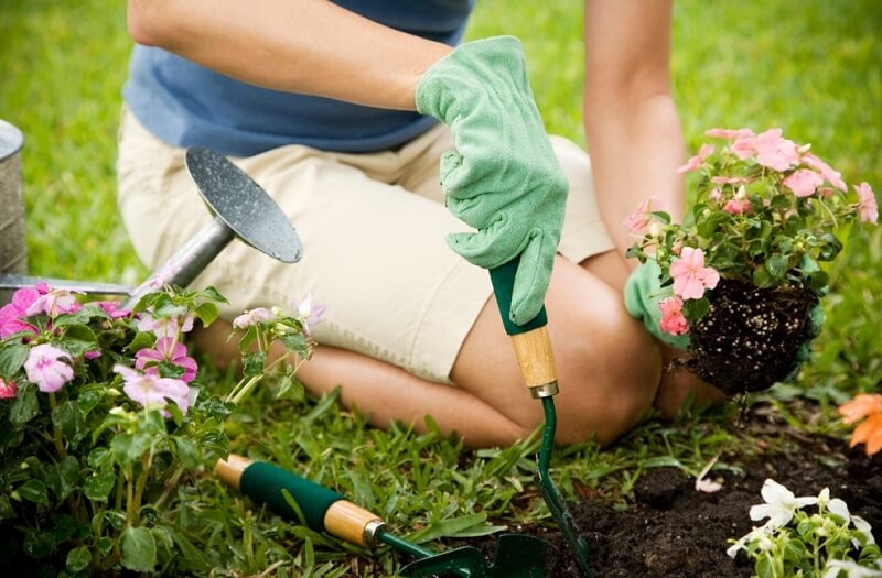 woman gardening