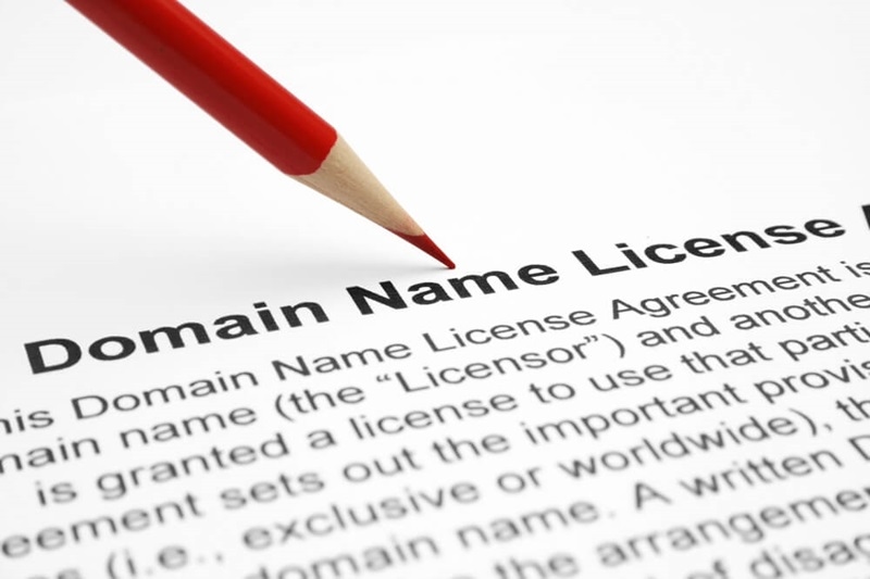 Domain name license