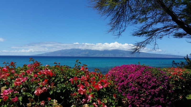 maui island