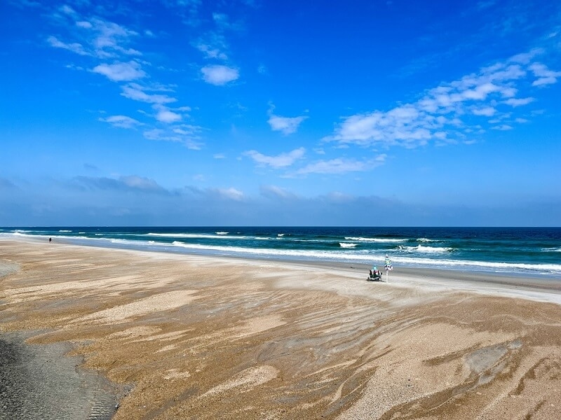 rare image of amelia island