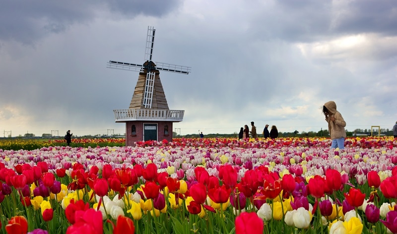 Amsterdam, Netherlands