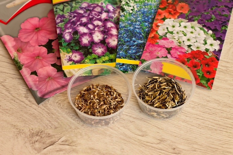 Easy Options for Busy Gardeners