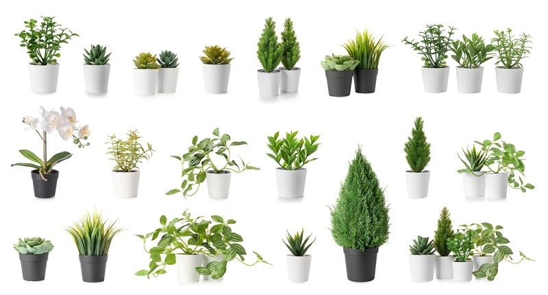 Artificial Plants