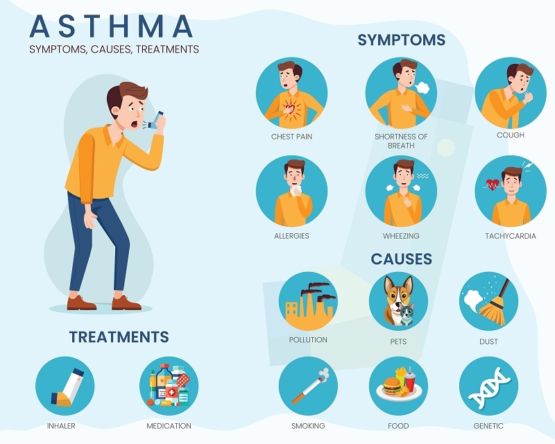An asthma infographic provides key information on triggers, symptoms, and management of asthma. It highlights prevention tips, emergency steps, and treatment options for better control.