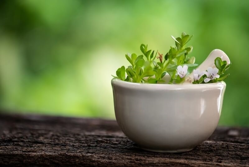 brahmi-ayurvedic-herbs-for-memory