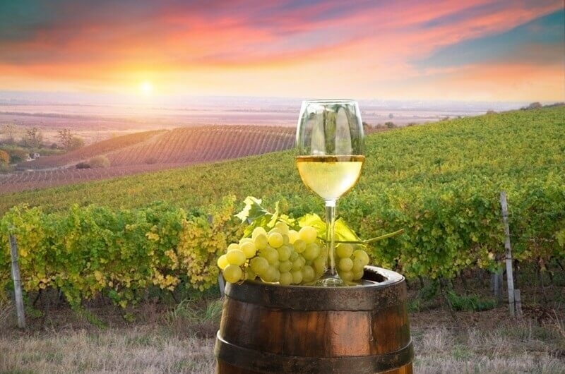 beautiful-vineyards-sunset-napa-valley