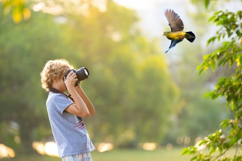 best-bird-photography