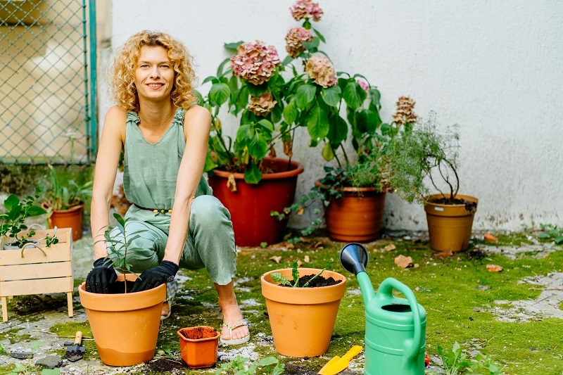 Tailoring Soil for Different Houseplants