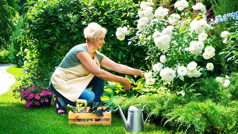 Filtered Water for Flowers