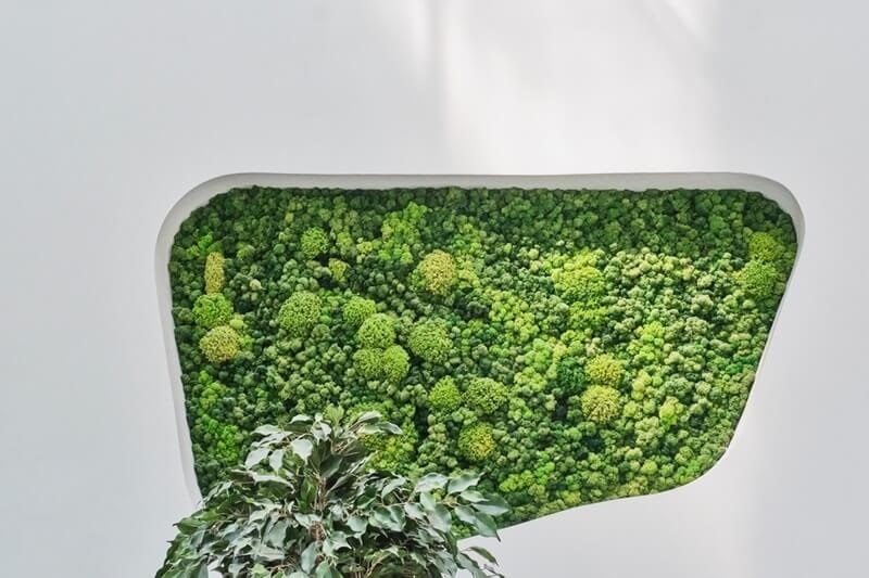 biophilic-art-technique