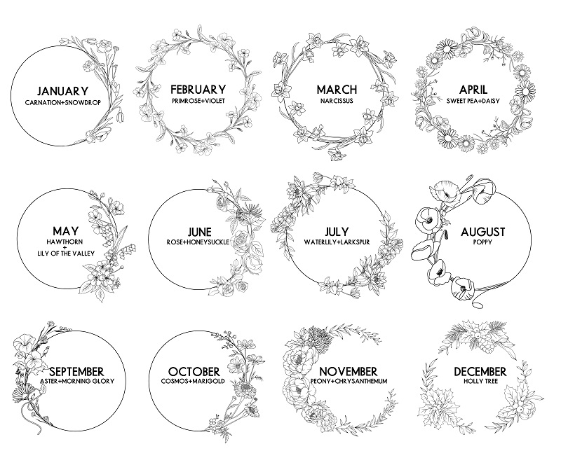  birth flowers months