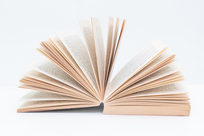 The Book of Elsewhere Stands Out as 2025's Top Fantasy Buy