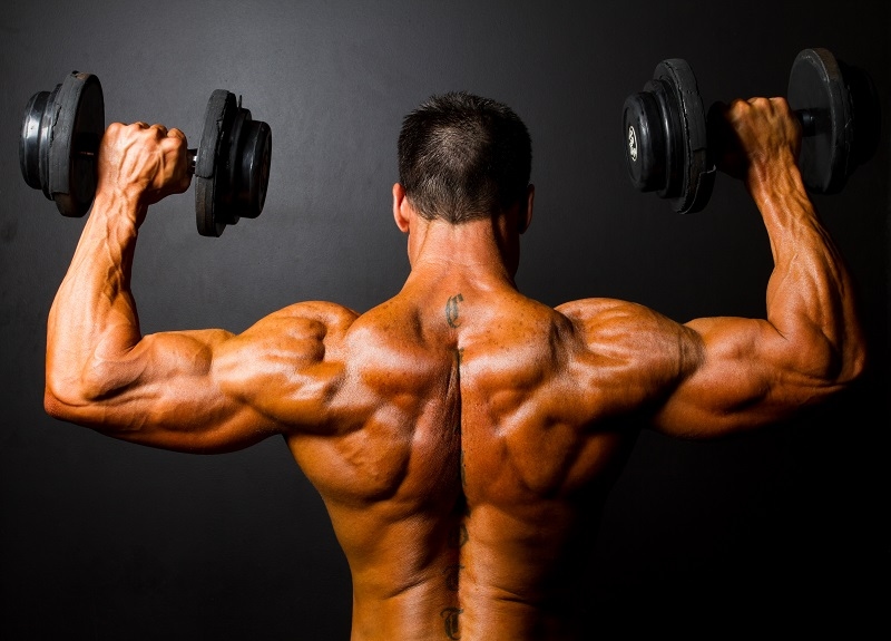 strength workouts guys
