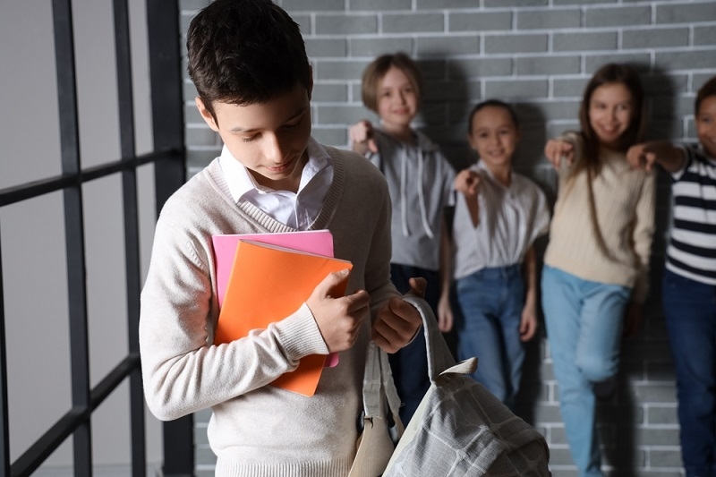  Bullying in Schools